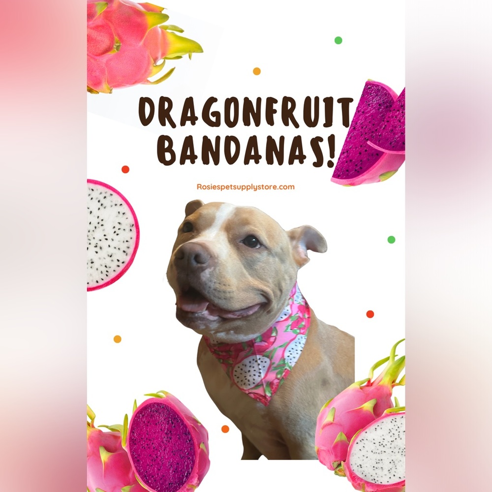 Dragon fruit pink Pet Cat Dog Bandana for girl unisex large One Size fits most!